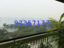 Laguna Park (D15), Apartment #61497712